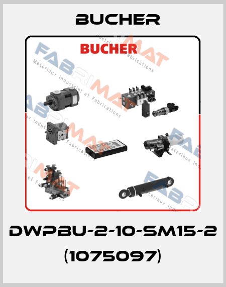 DWPBU-2-10-SM15-2 (1075097) Bucher
