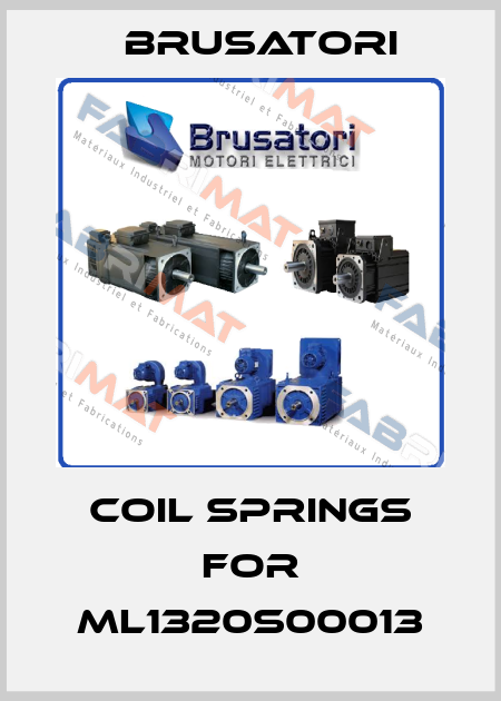 coil springs for ML1320S00013 Brusatori