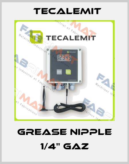 Grease Nipple 1/4" GAZ Tecalemit