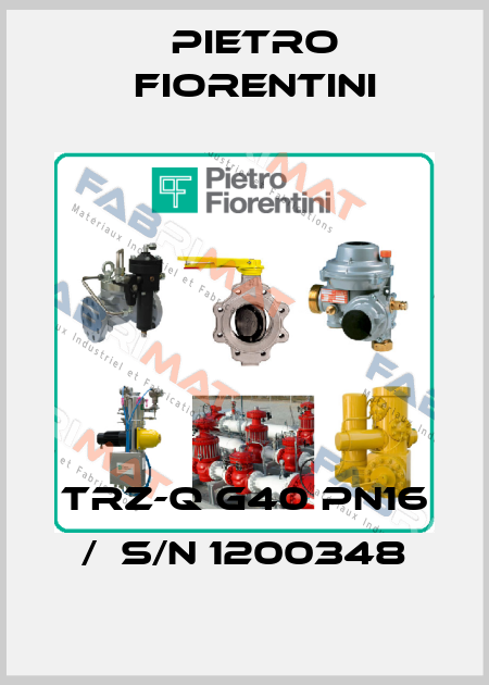 TRZ-Q G40 PN16 /  S/N 1200348 Pietro Fiorentini