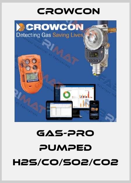 Gas-Pro Pumped H2S/CO/SO2/CO2 Crowcon