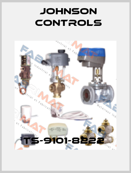TS-9101-8222  Johnson Controls
