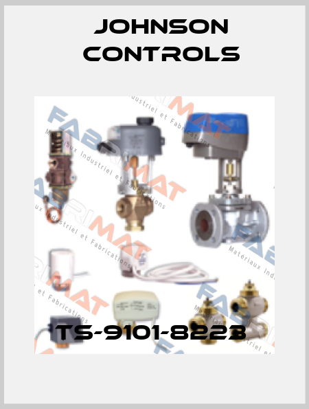 TS-9101-8223  Johnson Controls