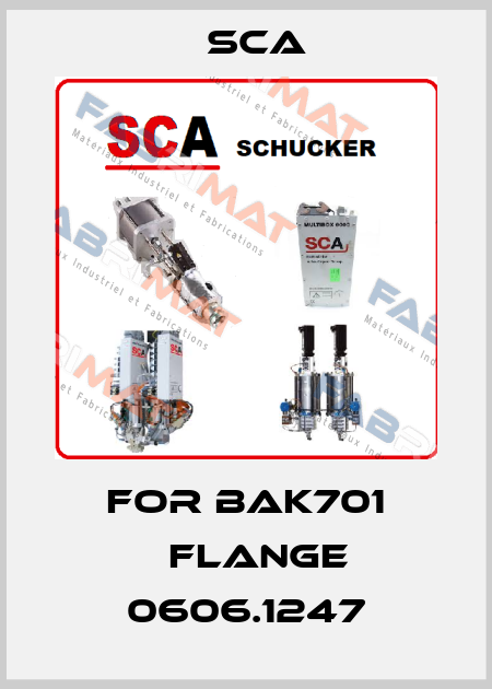 For bAK701 　flange 0606.1247 SCA