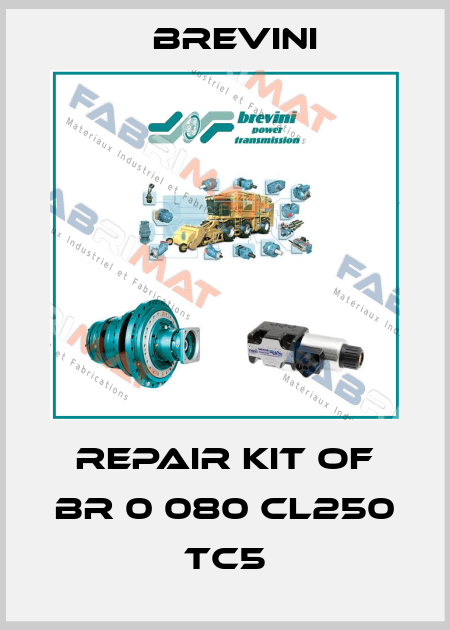Repair kit of BR 0 080 CL250 TC5 Brevini