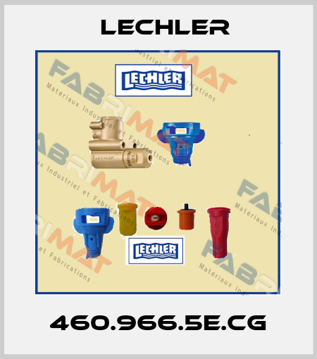 460.966.5E.CG Lechler