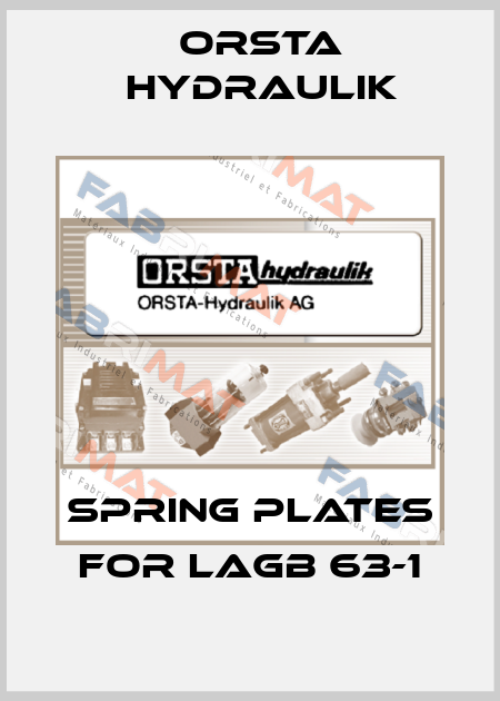spring plates for LAGB 63-1 Orsta Hydraulik
