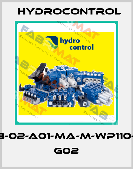 RCB-02-A01-MA-M-WP110-RA G02 Hydrocontrol