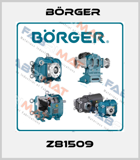 Z81509 Börger