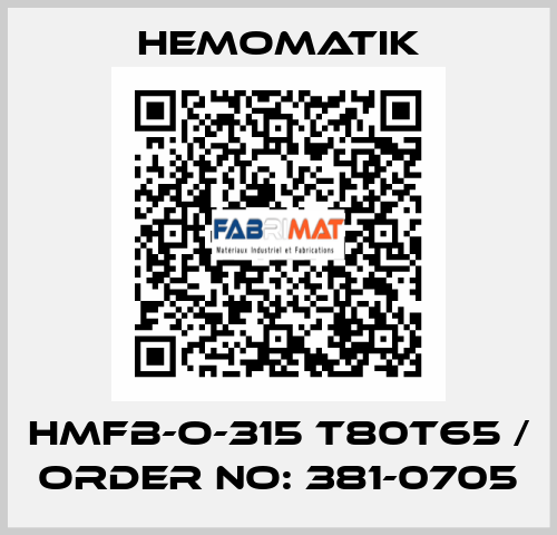 HMFB-O-315 T80T65 / Order No: 381-0705 Hemomatik