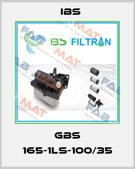 GBS 165-1LS-100/35 Ibs