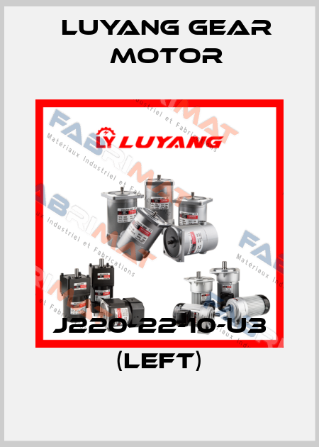J220-22-10-U3 (left) Luyang Gear Motor