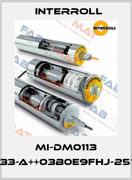MI-DM0113 DM1133-A++03B0E9FHJ-257mm Interroll