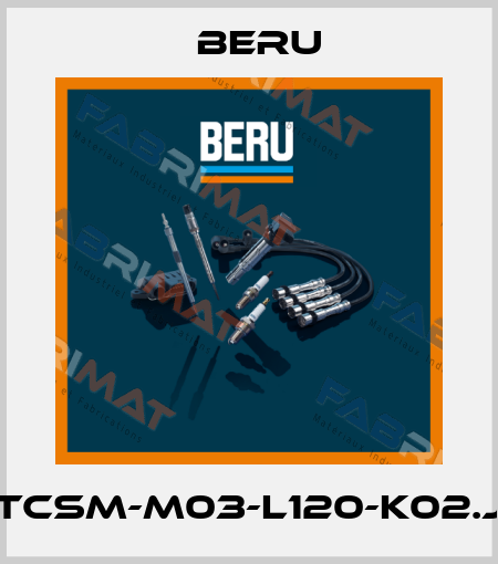 TCSM-M03-L120-K02.J Beru