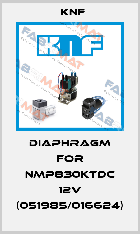 Diaphragm for NMP830KTDC 12V (051985/016624) KNF