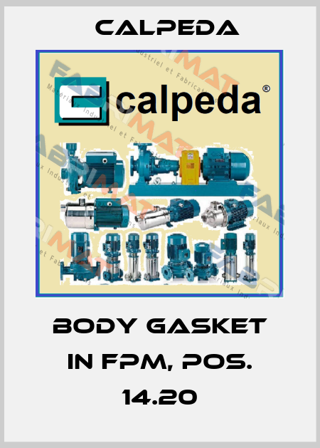 Body gasket in FPM, pos. 14.20 Calpeda