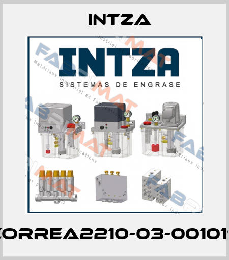 CORREA2210-03-001019 Intza