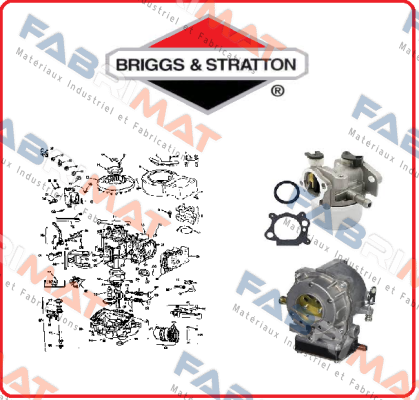 Benzintank Briggs-Stratton