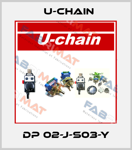 DP 02-J-S03-Y U-chain