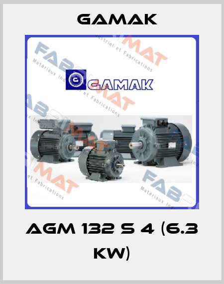 AGM 132 S 4 (6.3 kW) Gamak