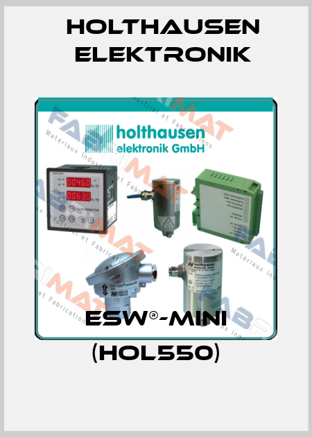 ESW®-Mini (hol550) HOLTHAUSEN ELEKTRONIK