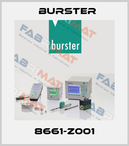 8661-Z001 Burster