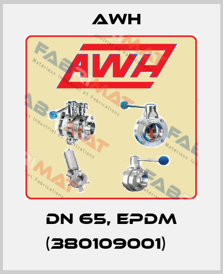 DN 65, EPDM (380109001)　 Awh