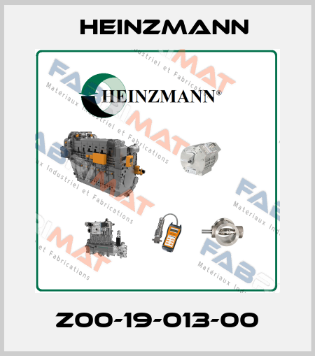 Z00-19-013-00 Heinzmann