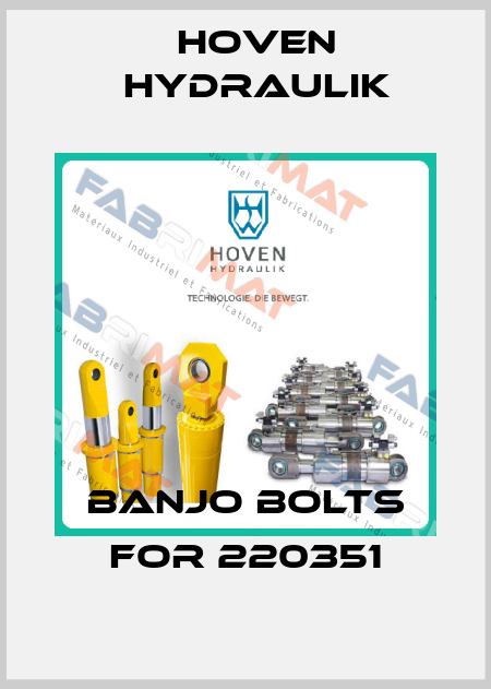 Banjo Bolts for 220351 Hoven Hydraulik