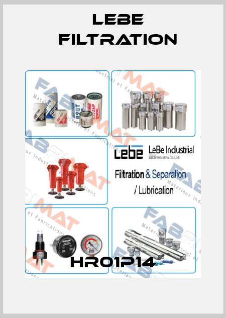 HR01P14 Lebe Filtration