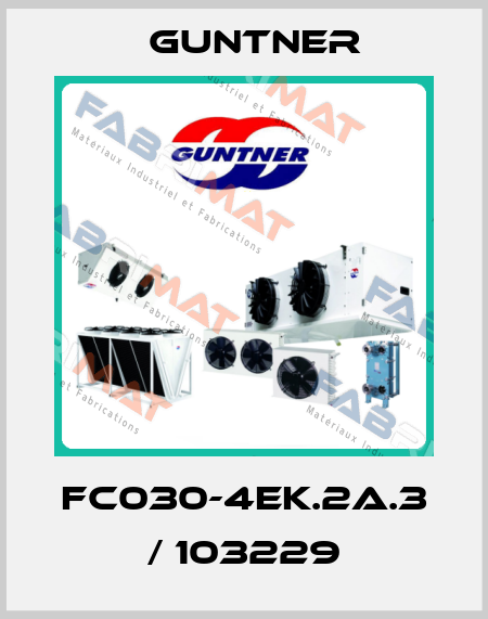 FC030-4EK.2A.3 / 103229 Guntner