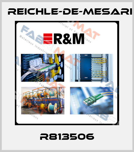 R813506 Reichle-De-Mesari