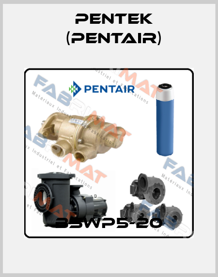 BSWP5-20 Pentek (Pentair)