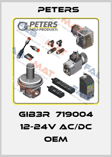 GIB3R  719004 12-24V AC/DC OEM Peters