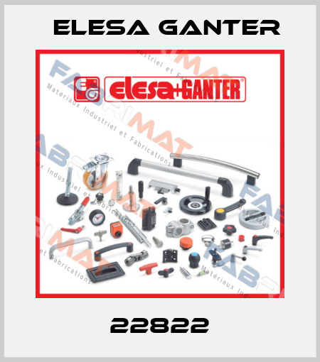 22822 Elesa Ganter