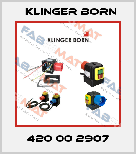 420 00 2907 Klinger Born