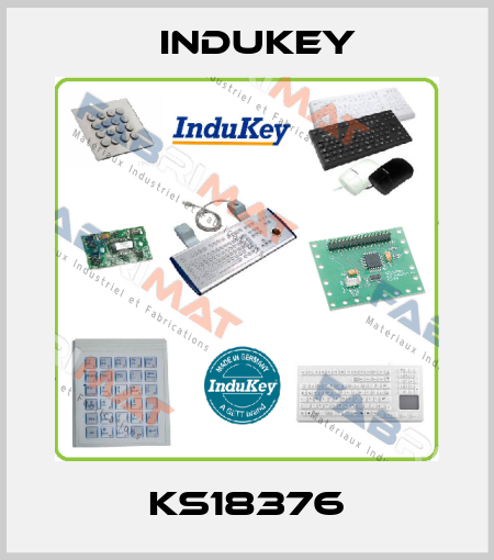 KS18376 InduKey