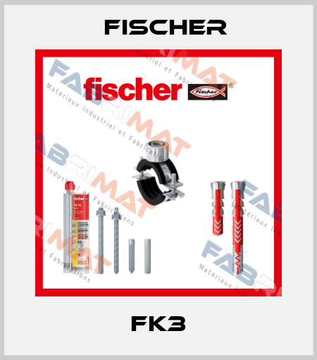 FK3 Fischer