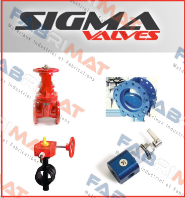 15RS128-158 Sigma Valves