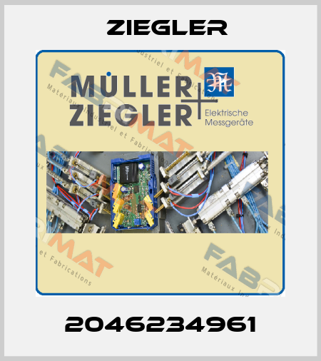 2046234961 Ziegler