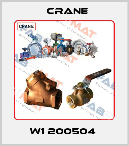 W1 200504  Crane