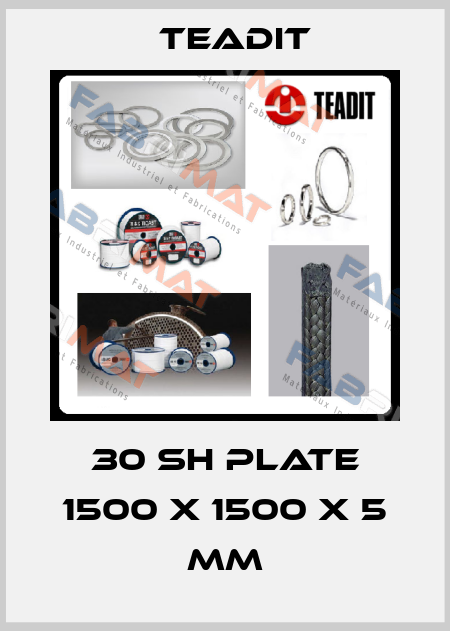 30 SH plate 1500 x 1500 x 5 mm Teadit