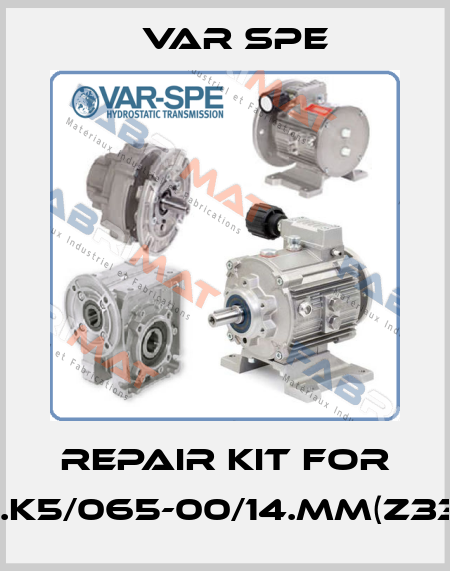 Repair kit for 11.K5/065-00/14.MM(Z33) Var Spe
