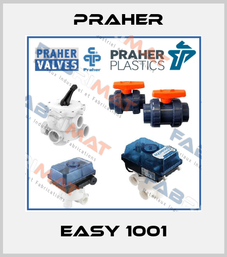 Easy 1001 Praher