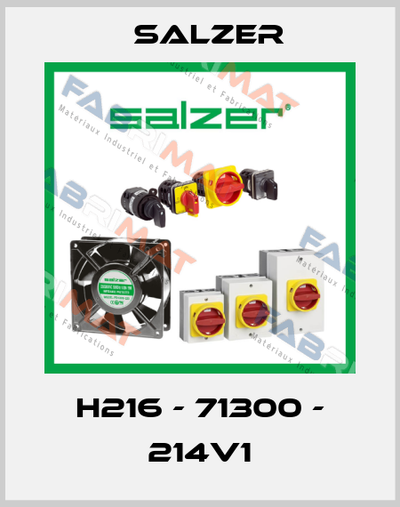 H216 - 71300 - 214V1 Salzer