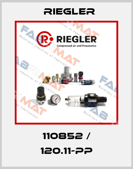 110852 / 120.11-PP Riegler
