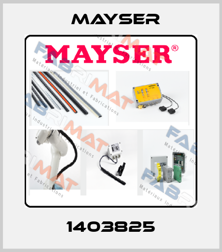 1403825 Mayser