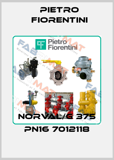 NORVAL/G 375 PN16 7012118 Pietro Fiorentini