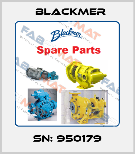 SN: 950179 Blackmer