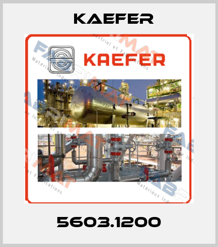 5603.1200 Kaefer